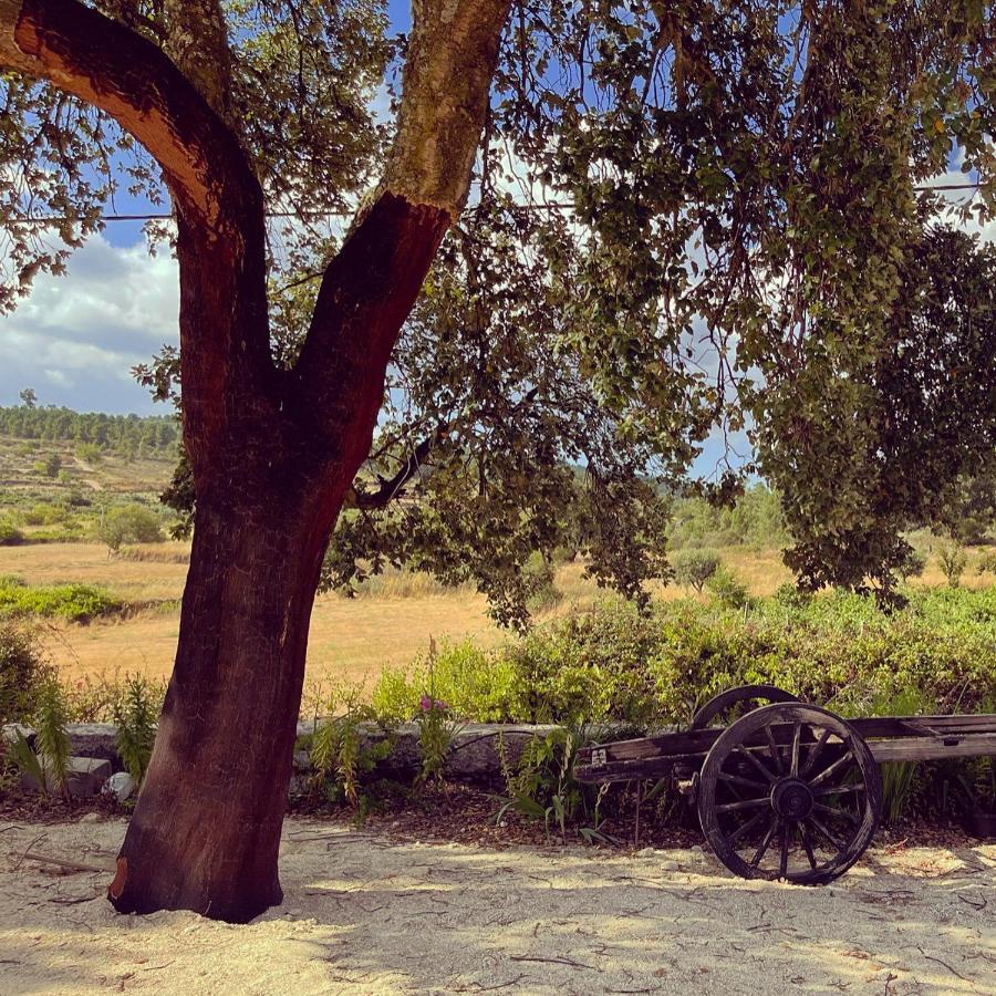 Quinta Da Corga Guest house *